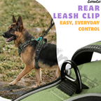 Dog Cat No Pull Harness With Reflective Leash Green