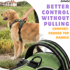 Dog Cat No Pull Harness With Reflective Leash Green