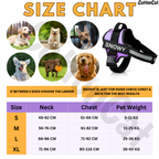 Personalized Dog Harness with Name & Phone Number Purple