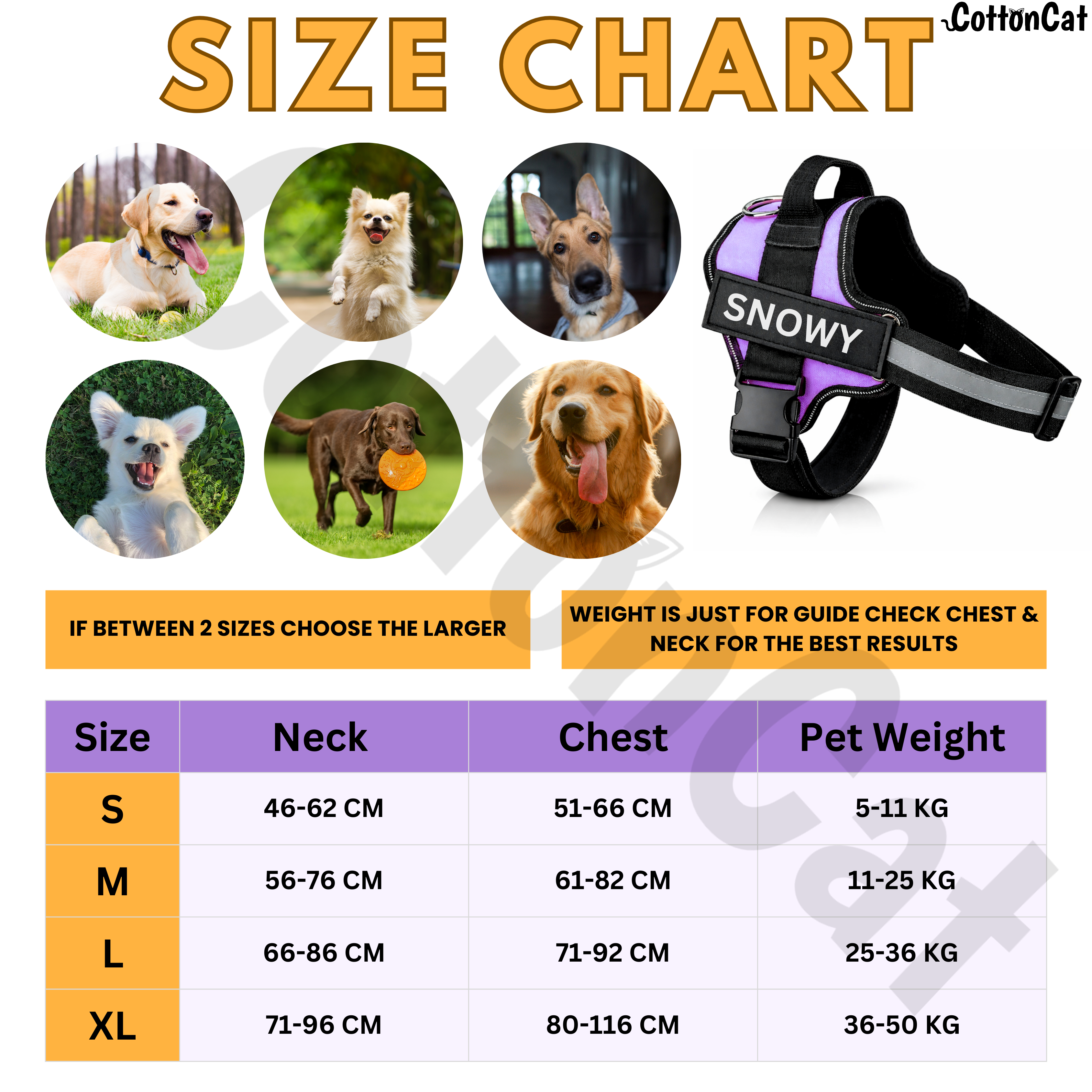 Personalized Dog Harness with Name & Phone Number Purple