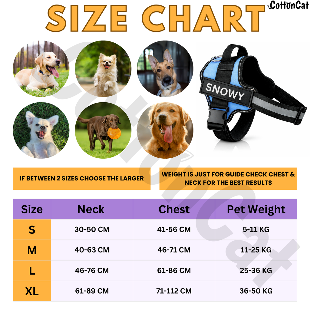 Personalized Dog Harness with Name & Phone Number Sky Blue