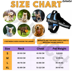 Personalized Dog Harness with Name & Phone Number Sky Blue