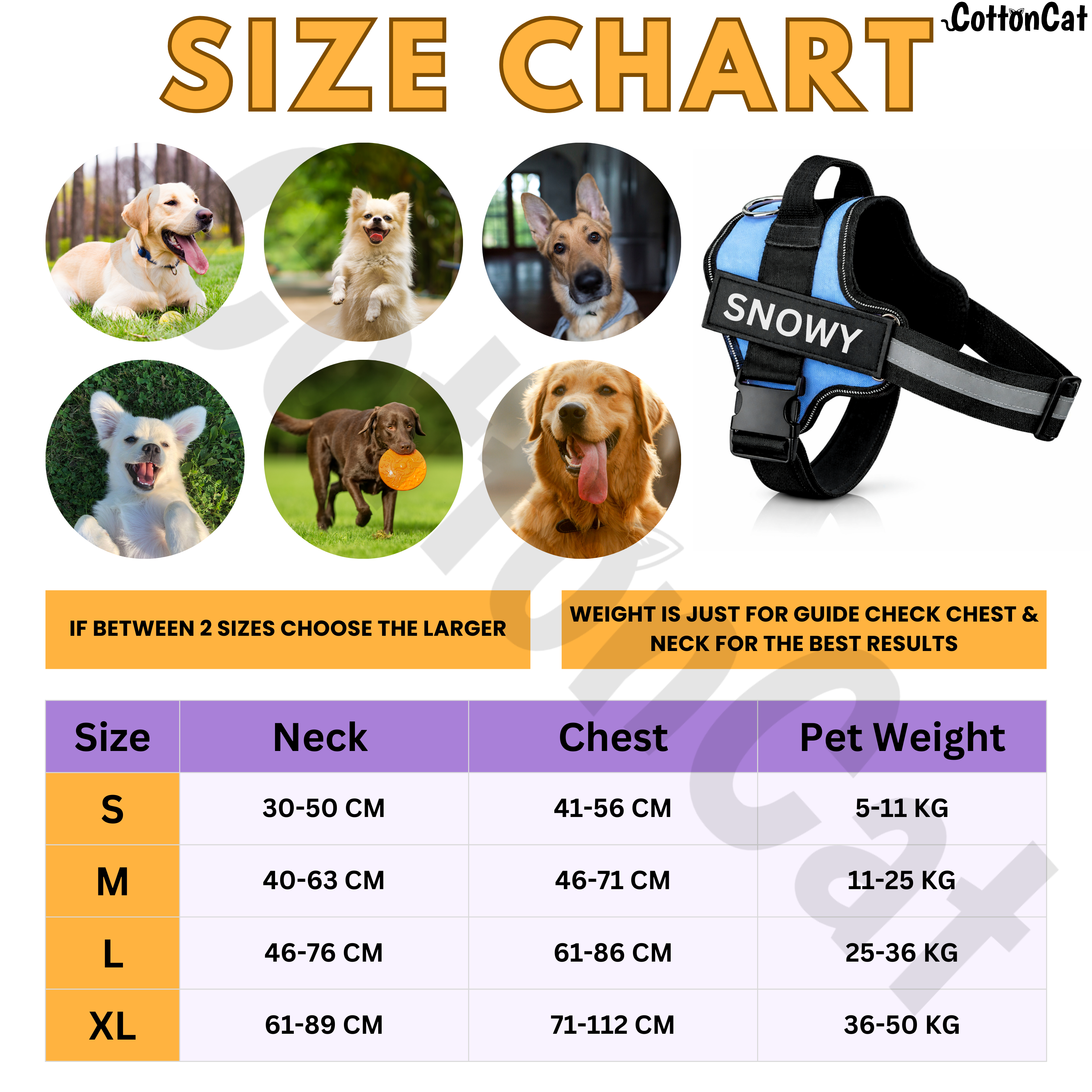Personalized Dog Harness with Name & Phone Number Sky Blue