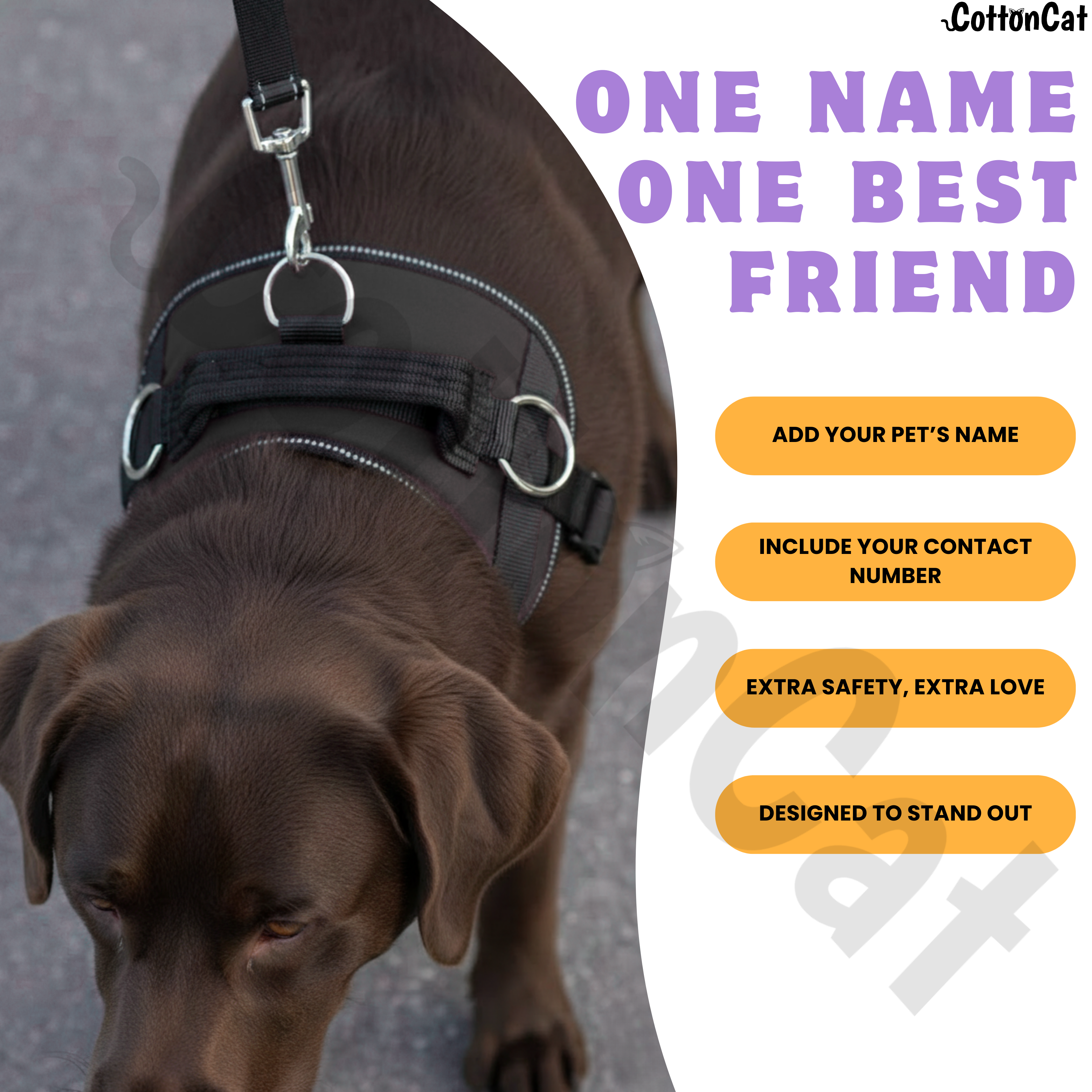 Personalized Dog Harness with Name & Phone Number Black