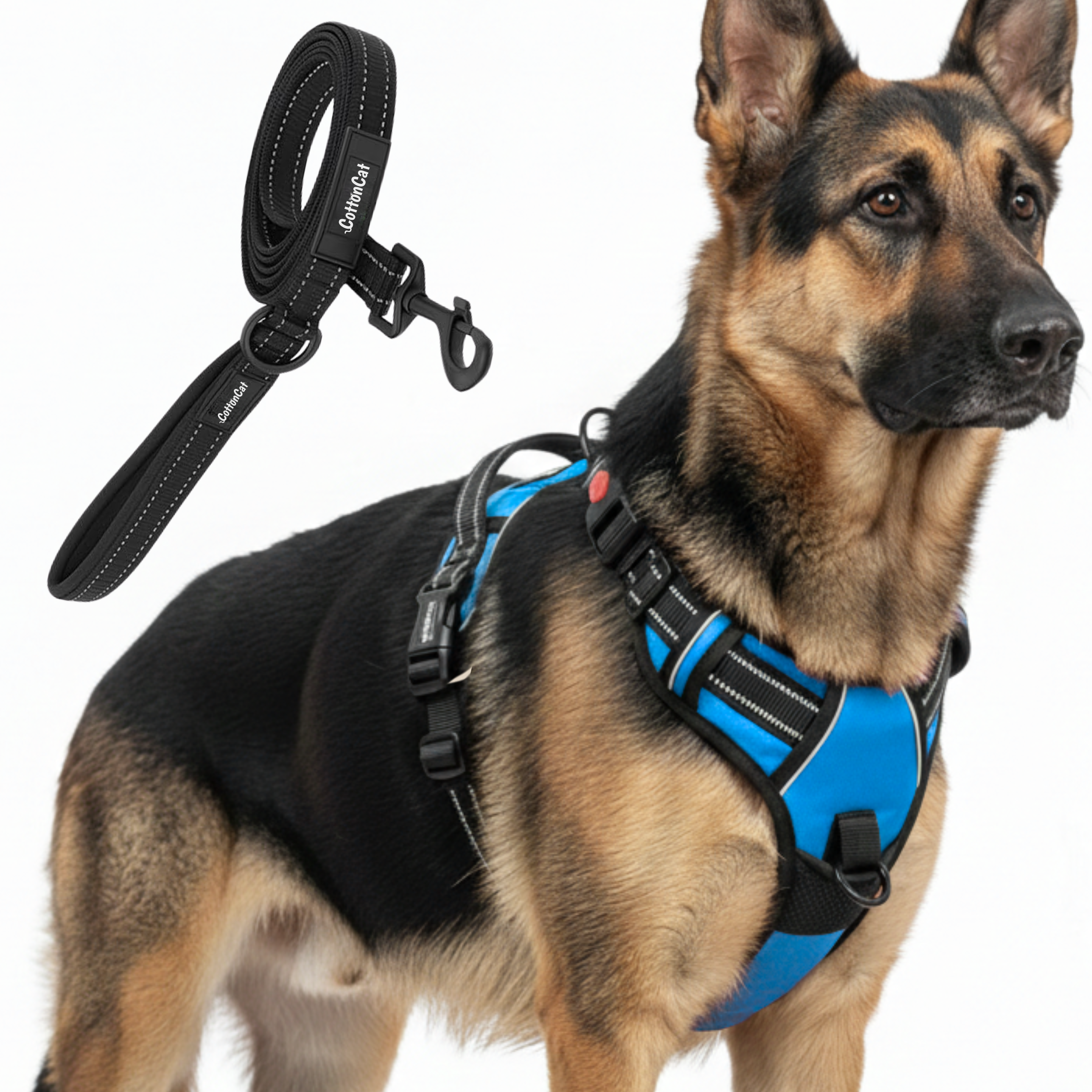 Dog Cat No Pull Harness With Reflective Leash Sky Blue