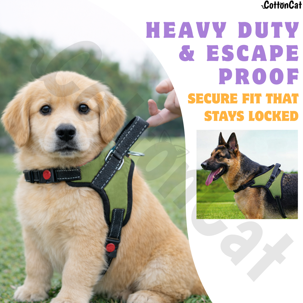 Cat Dog Reflective Harness Green