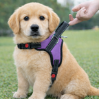 Cat Dog Reflective Harness Purple