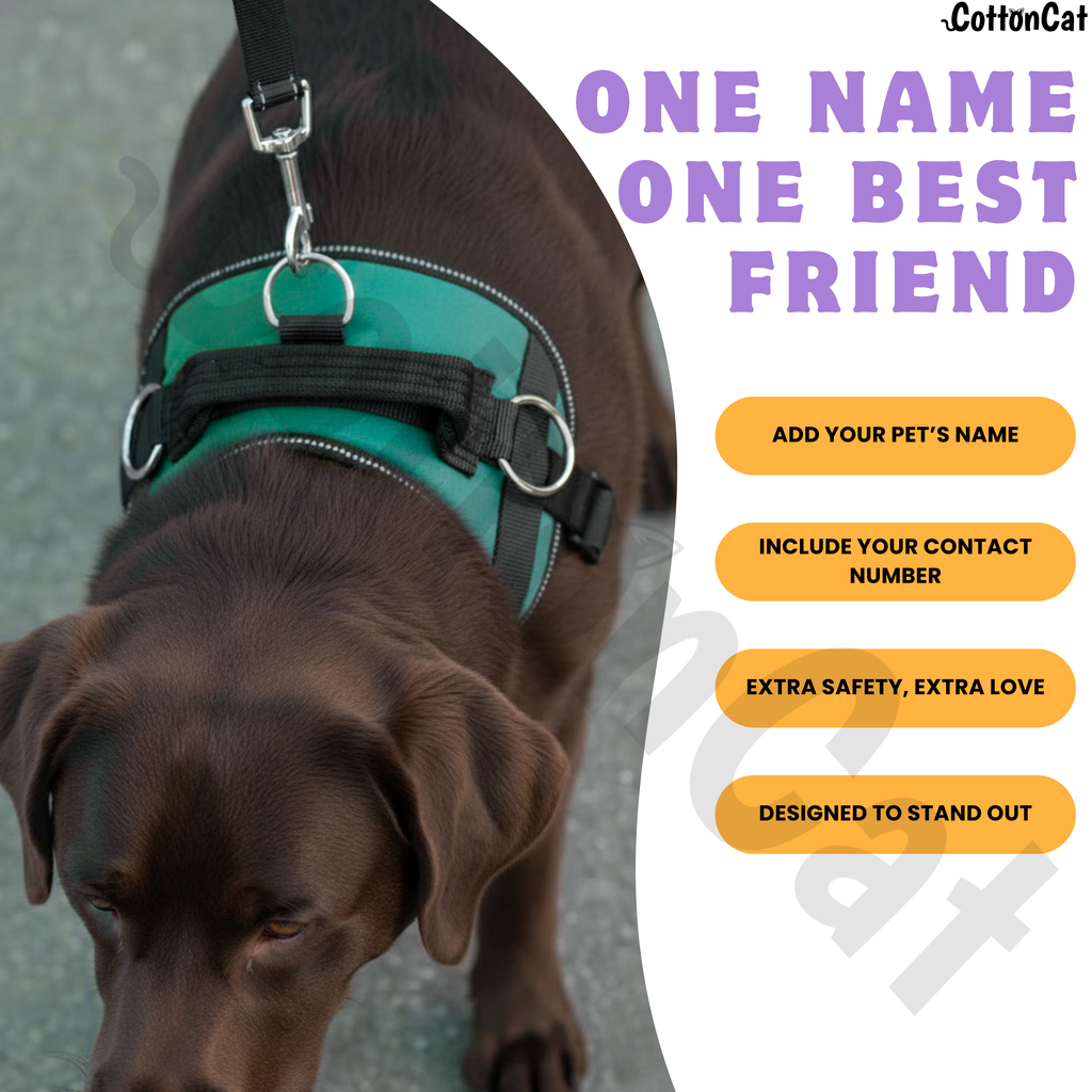 Personalized Dog Harness with Name & Phone Number Teal