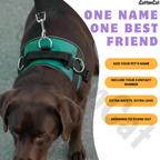 Personalized Dog Harness with Name & Phone Number Teal