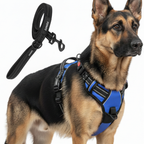 Dog Cat No Pull Harness With Reflective Leash Blue