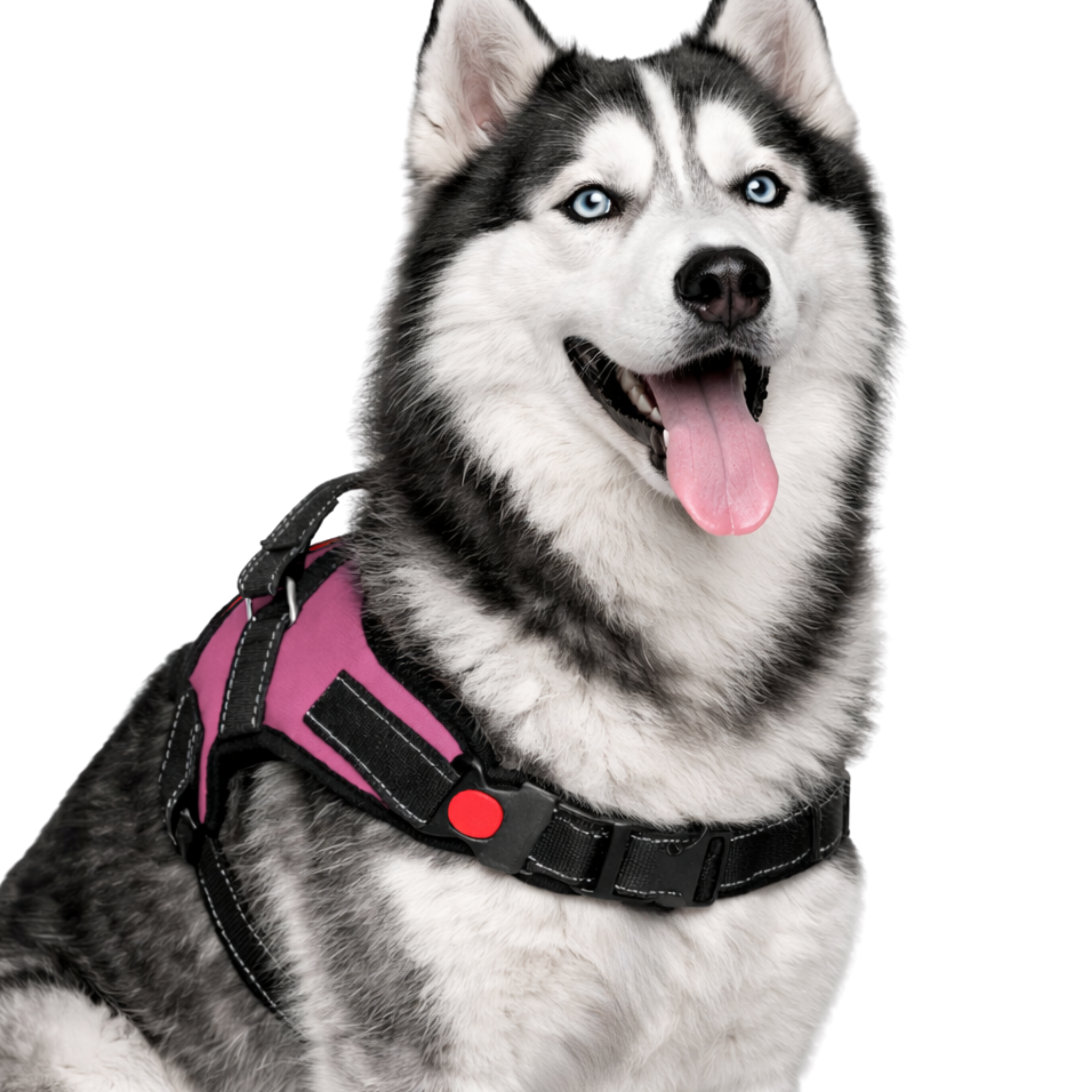 Cat Dog Reflective Harness Hot Pink