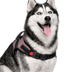Cat Dog Reflective Harness Light Pink