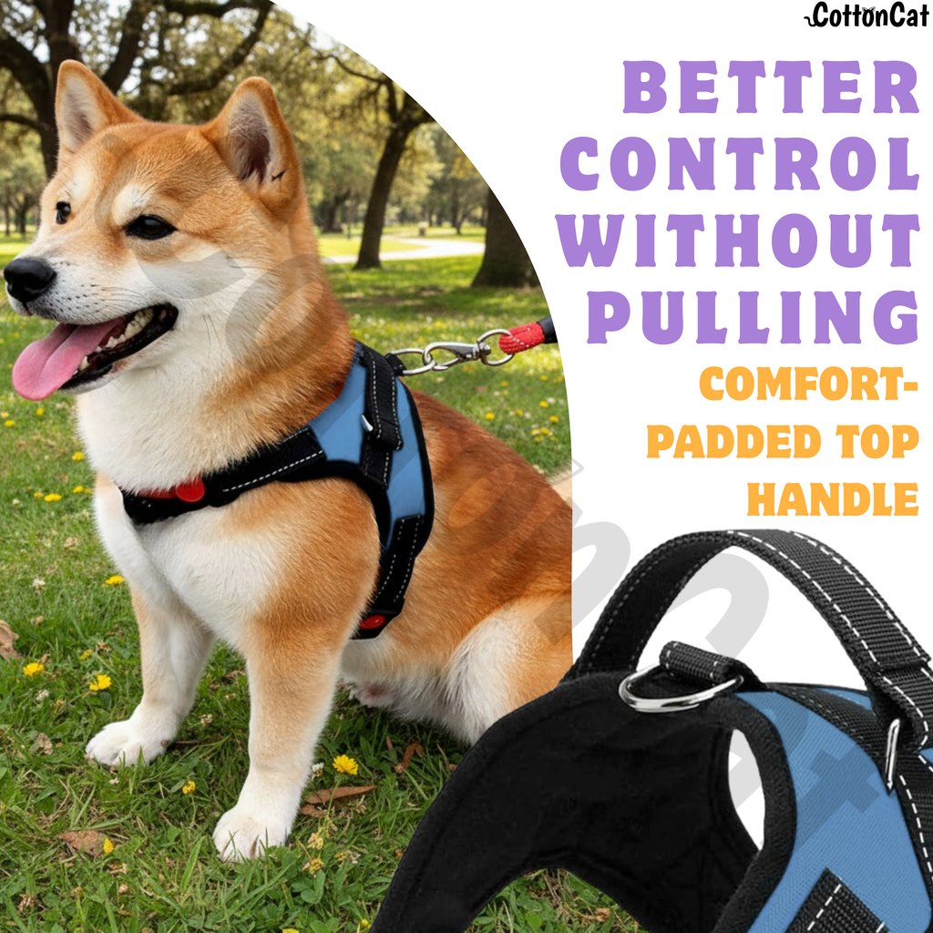 Cat Dog Reflective Harness Sky Blue