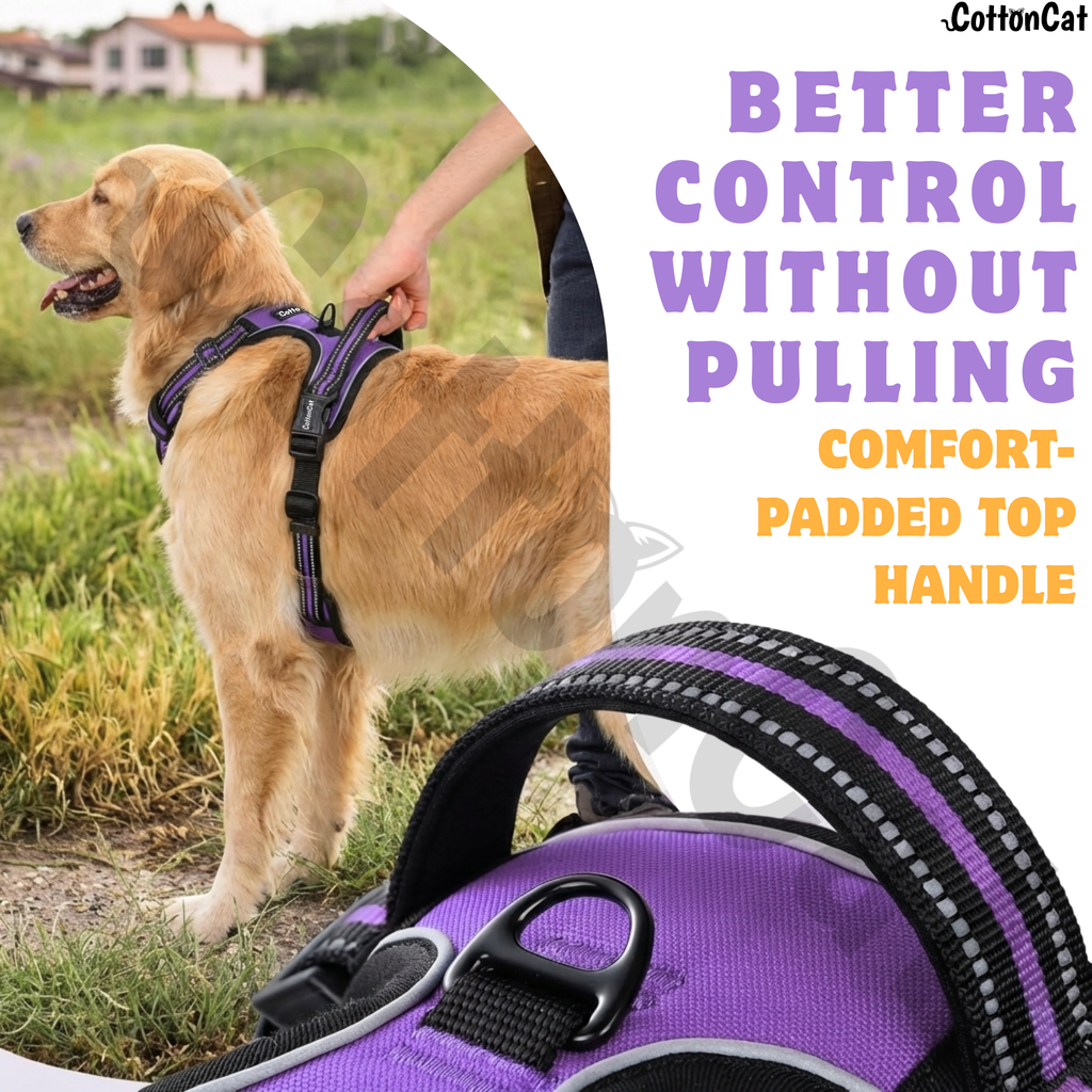 Dog Cat No Pull Harness With Reflective Leash Purple