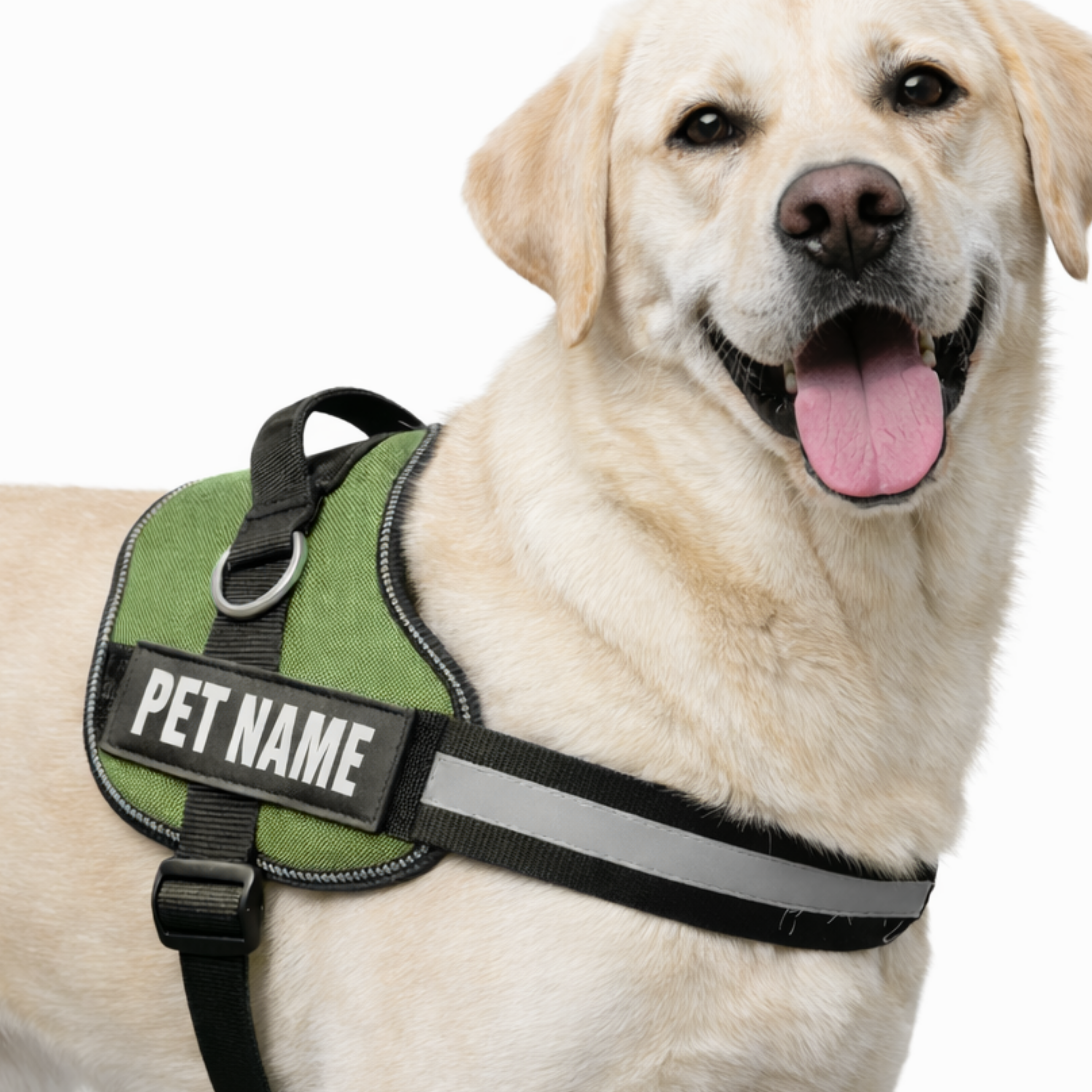 Personalized Dog Harness with Name & Phone Number Green