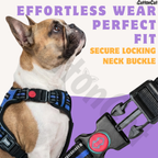 Dog Cat No Pull Harness With Reflective Leash Blue