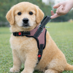 Cat Dog Reflective Harness Light Pink