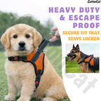 Cat Dog Reflective Harness Orange