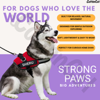 Personalized Dog Harness with Name & Phone Number Red