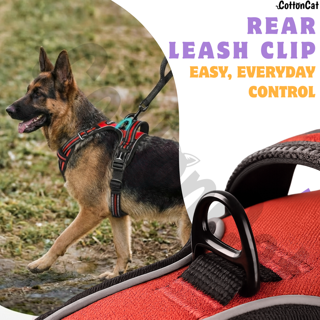 Dog Cat No Pull Harness With Reflective Leash Red