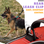 Dog Cat No Pull Harness With Reflective Leash Red