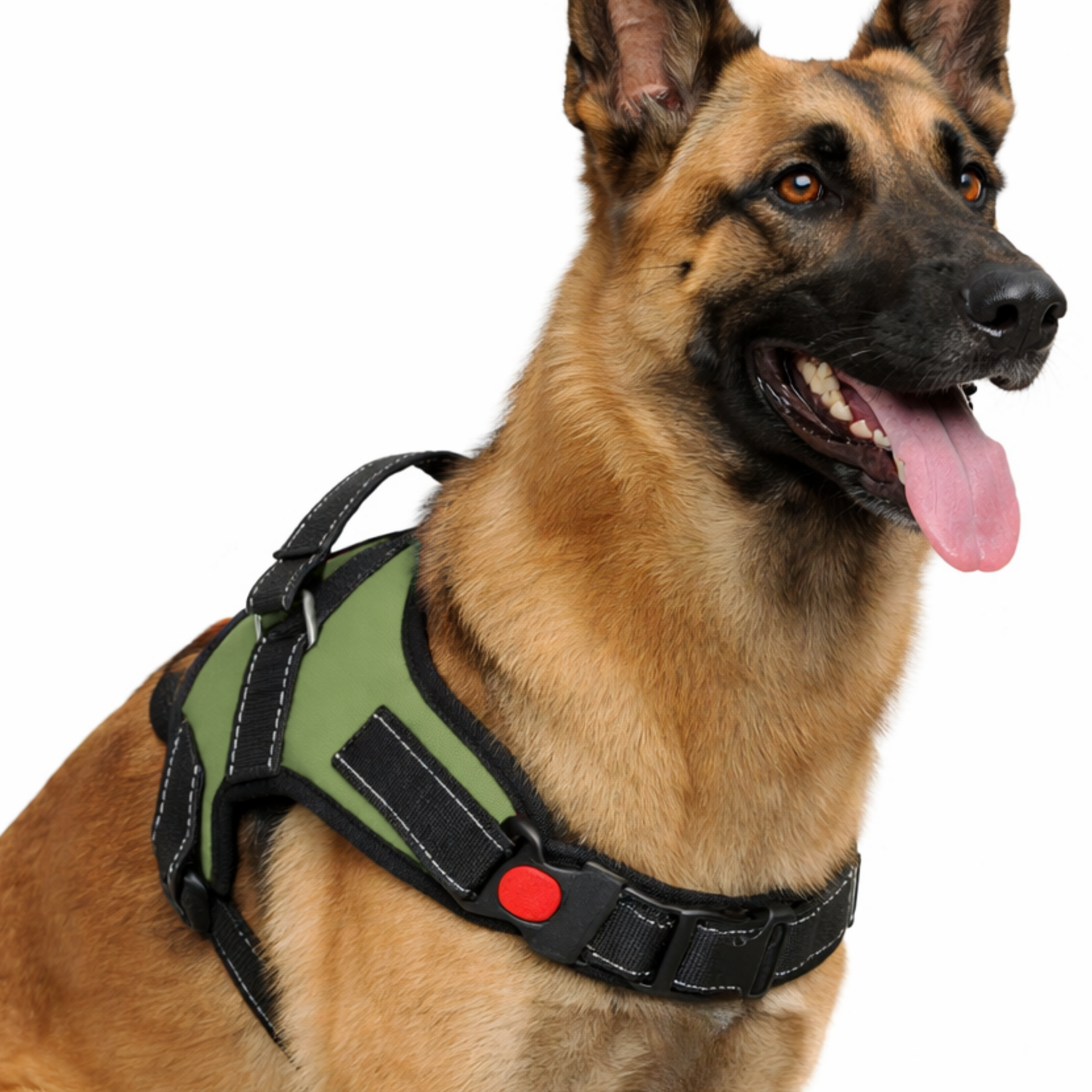 Cat Dog Reflective Harness Green