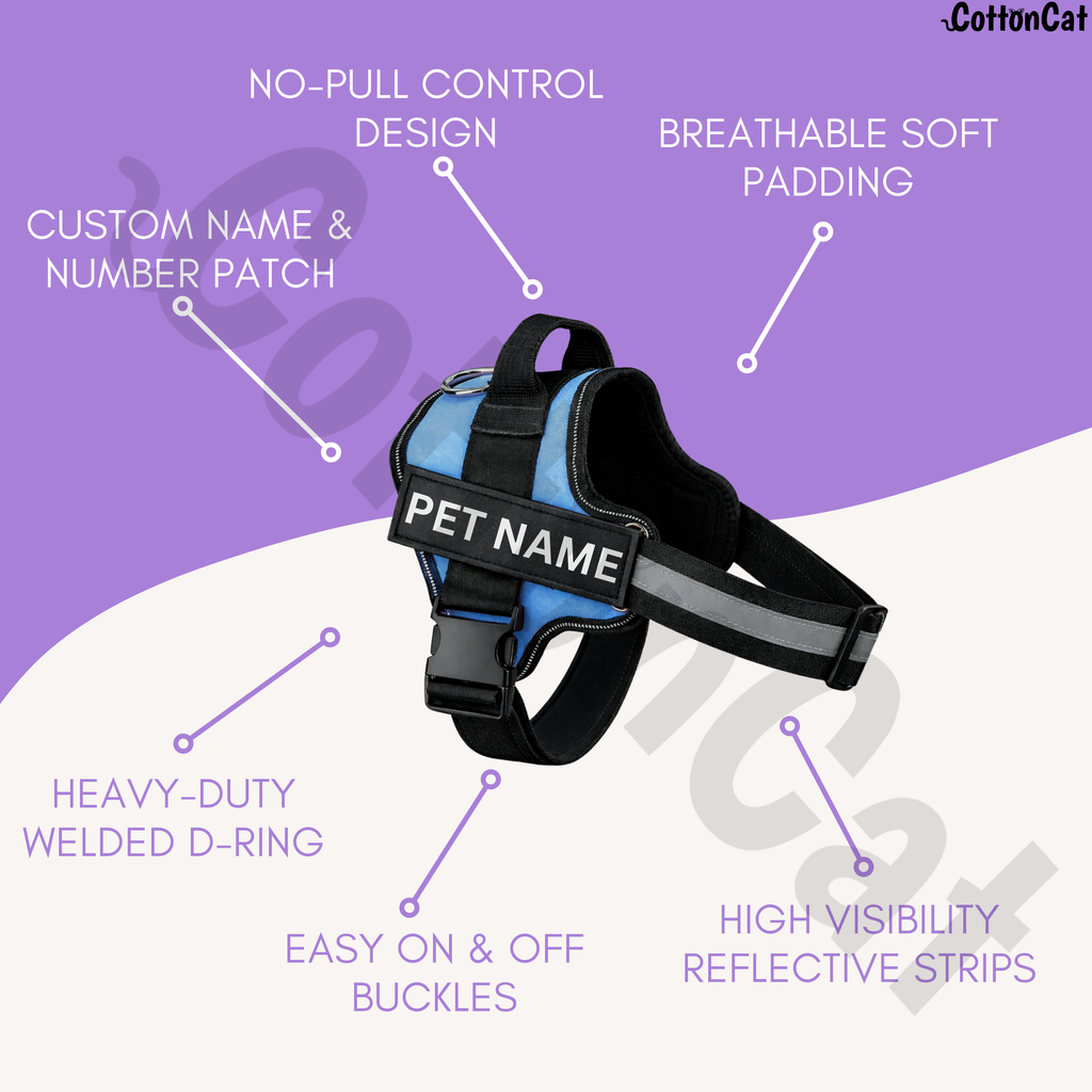 Personalized Dog Harness with Name & Phone Number Sky Blue